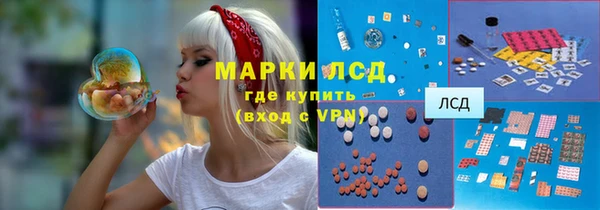 spice Бородино