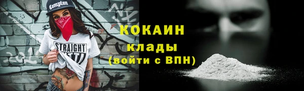 spice Бородино