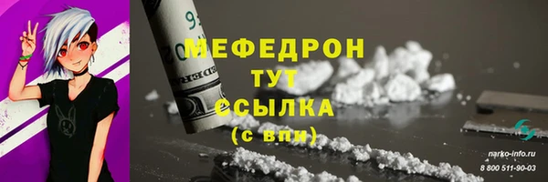 spice Бородино