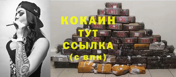 spice Бородино