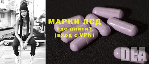 spice Бородино