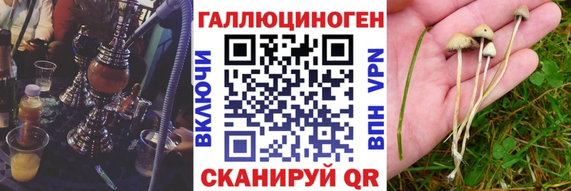 Псилоцибиновые грибы ЛСД  магазин продажи наркотиков  Каневская 